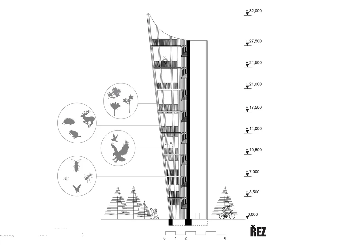 Rozhledna řez – Soutěž rozhledny na Kelčském Javorníku